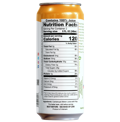 Tara Pure Cantaloupe Melon Juice, With Pulp, No Added Sugar, 16.9 fl.oz (12pk)