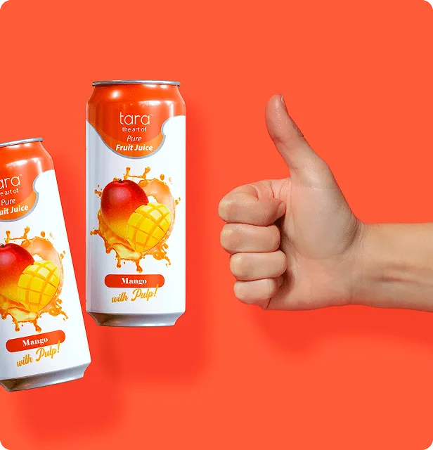 Tara Pure Mango Juice With Pulp, No Added Sugar, 16.9 fl.oz (12pk) – detail 2
