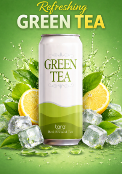 Tara Real Brew Green Tea 16.9 Fl.oz (12pk)