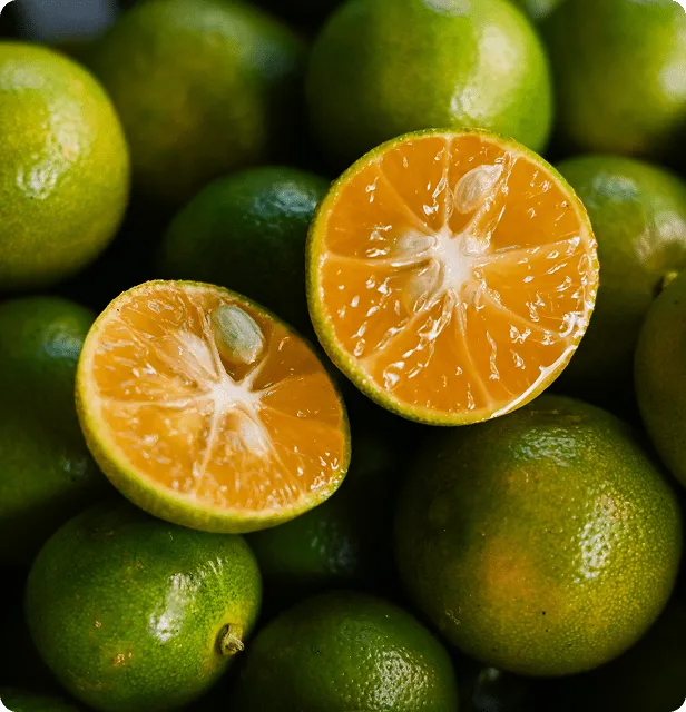 Tara Real Calamansi Juice No Pulp, 16.9 fl.oz (12pk) – detail 5