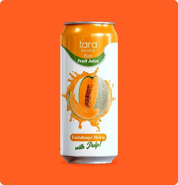 Tara Pure Cantaloupe Melon Juice, With Pulp, No Added Sugar, 16.9 fl.oz (12pk) – detail 1