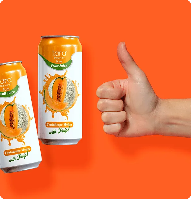 Tara Pure Cantaloupe Melon Juice, With Pulp, No Added Sugar, 16.9 fl.oz (12pk) – detail 2