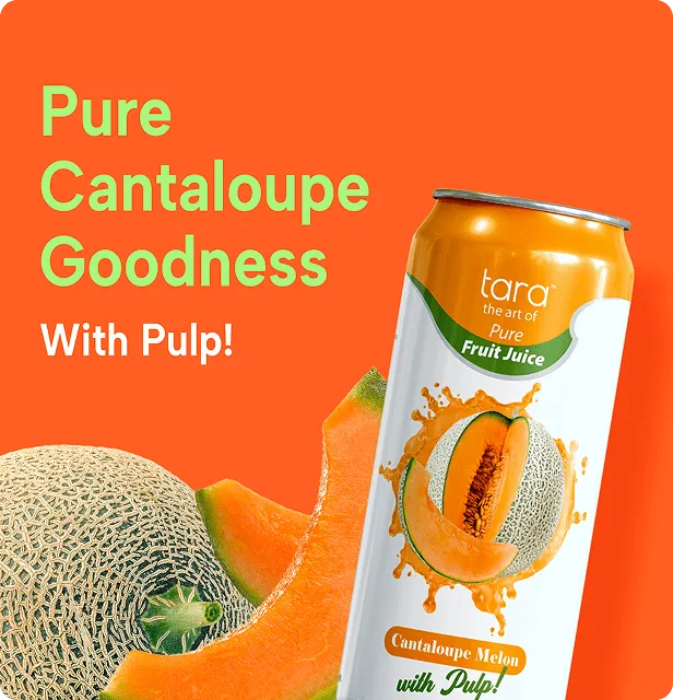 Tara Pure Cantaloupe Melon Juice, With Pulp, No Added Sugar, 16.9 fl.oz (12pk) – detail 4