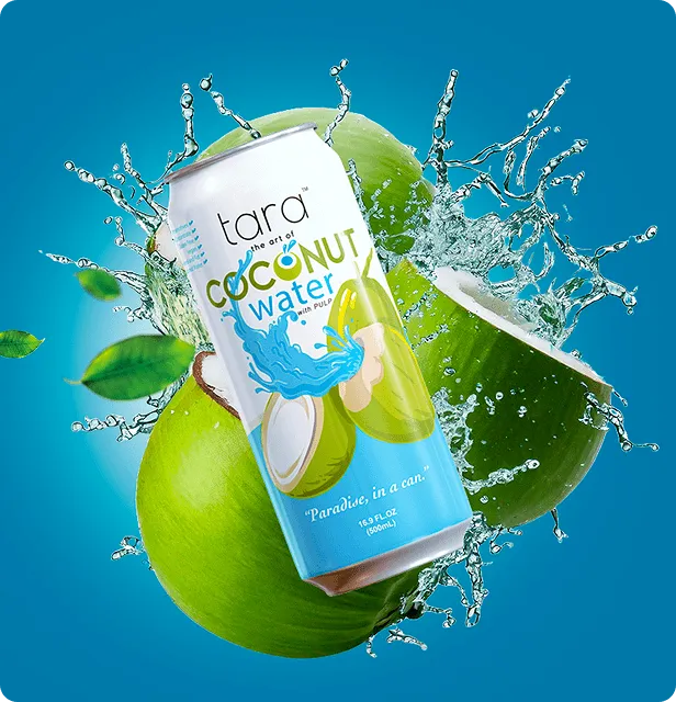 Tara Pure Coconut Water, With Pulp, 16.9 fl.oz (12pk) – detail 4