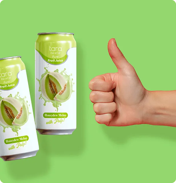 Tara Pure Honeydew Melon Juice With Pulp, No Added Sugar, 16.9 fl.oz (12pk) – detail 2