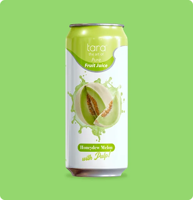 Tara Pure Honeydew Melon Juice With Pulp, No Added Sugar, 16.9 fl.oz (12pk) – detail 1