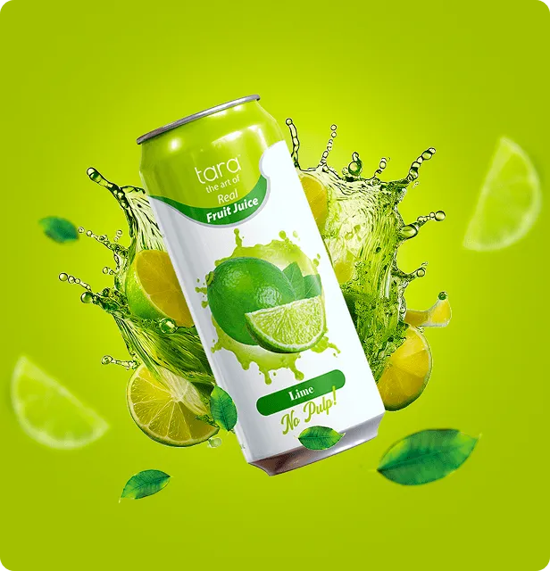 Tara Real Lime Juice No Pulp, 16.9 fl.oz (12pk) – detail 4