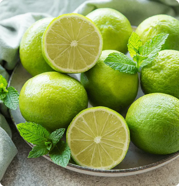 Tara Real Lime Juice No Pulp, 16.9 fl.oz (12pk) – detail 5