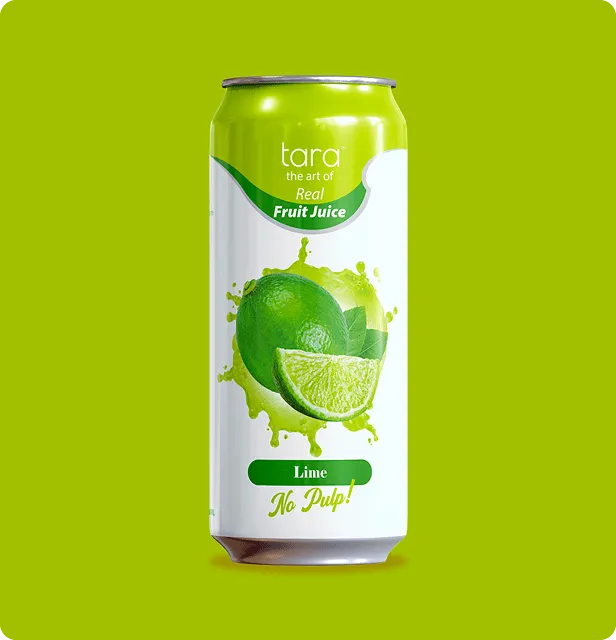 Tara Real Lime Juice No Pulp, 16.9 fl.oz (12pk) – detail 1
