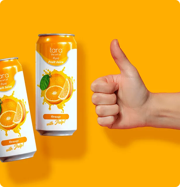 Tara Pure Orange Juice With Pulp, No Added Sugar, 16.9 fl.oz (12pk) – detail 2