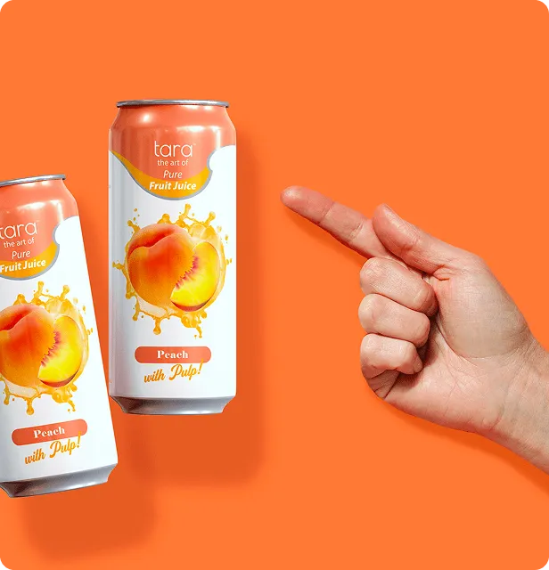 Tara Pure Peach Juice With Pulp, No Added Sugar, 16.9 fl.oz (12pk) – detail 2