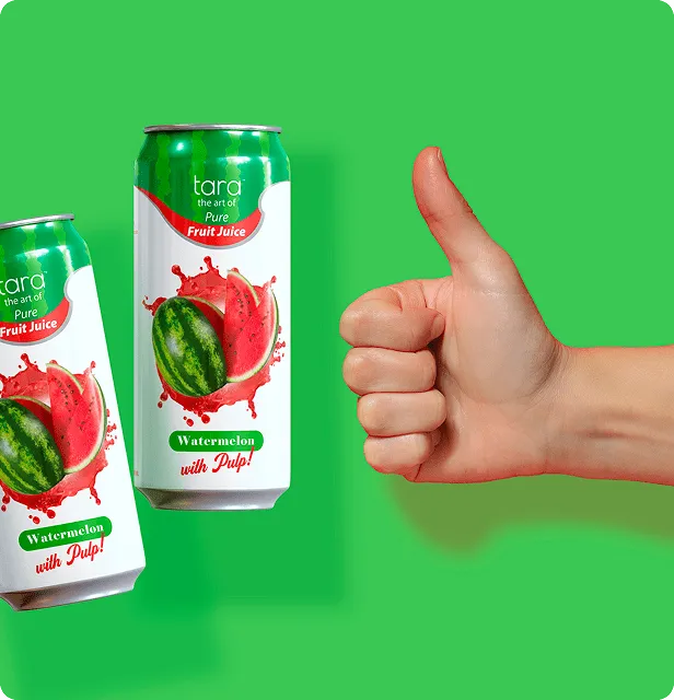 Tara Pure Watermelon Juice With Pulp, No Added Sugar, 16.9 fl.oz (12pk) – detail 2