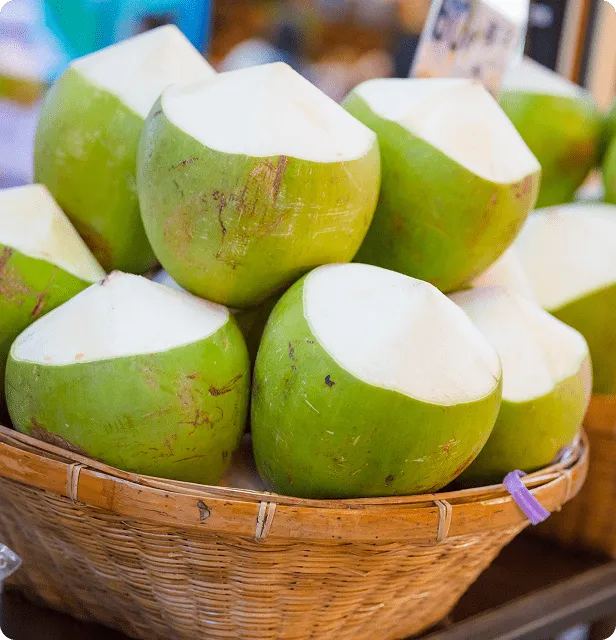 Tara Coconut Water Classic – detail 5